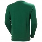 Džemperis HELLY HANSEN Graphic Sweatshirt, žalias