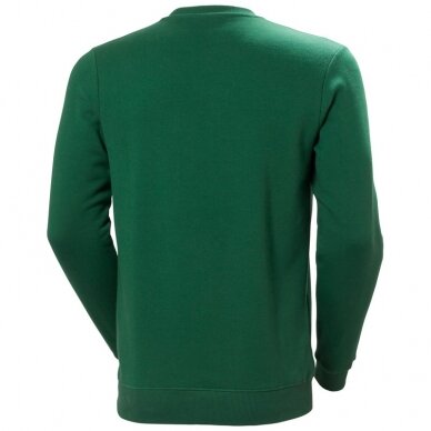 Džemperis HELLY HANSEN Graphic Sweatshirt, žalias 1