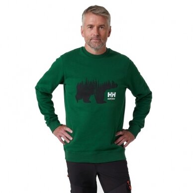 Džemperis HELLY HANSEN Graphic Sweatshirt, žalias 2