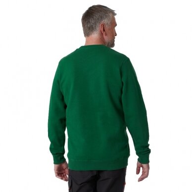 Džemperis HELLY HANSEN Graphic Sweatshirt, žalias 3