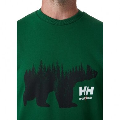 Džemperis HELLY HANSEN Graphic Sweatshirt, žalias 4