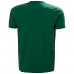 Marškinėliai HELLY HANSEN Graphic T-Shirt, žali