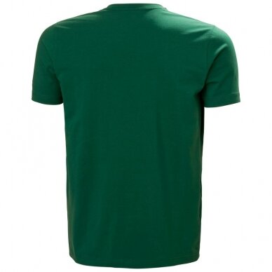 Marškinėliai HELLY HANSEN Graphic T-Shirt, žali  1